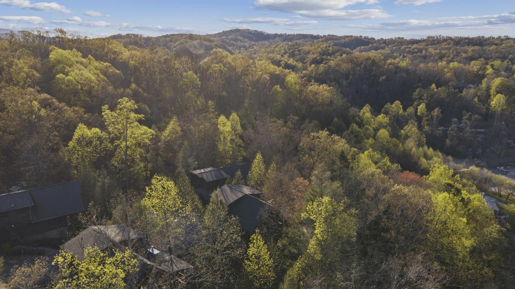Stunning Mountain Cabin W Hot Tub Gatlinburg Bagian luar foto